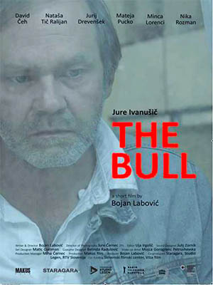 bik the bull poster image